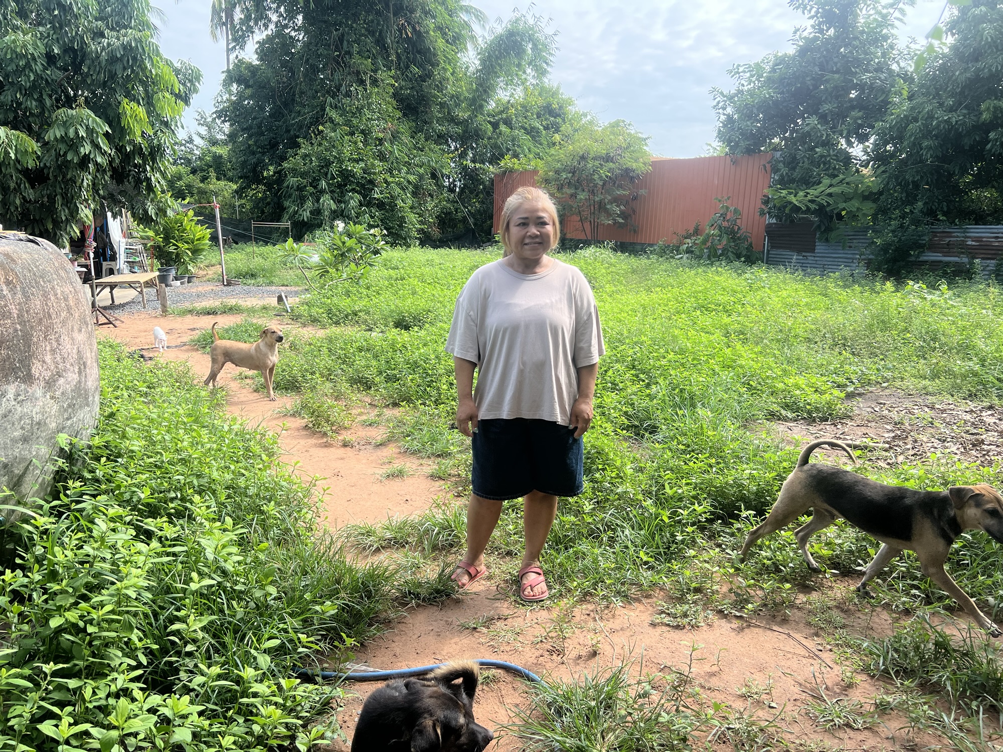 Unser privates Mietprojekt in Thailand: kleine Stadtbungalows für den Alltag